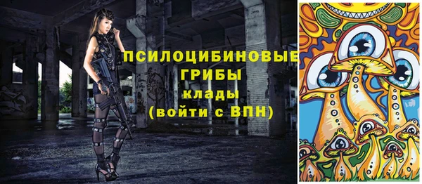 сатива Арсеньев