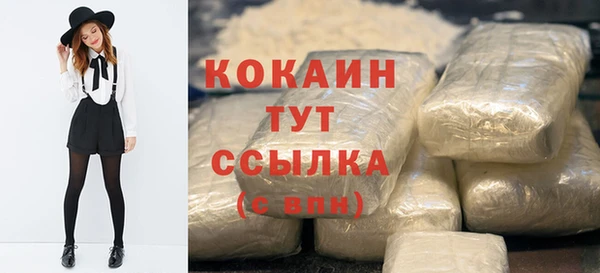 сатива Арсеньев