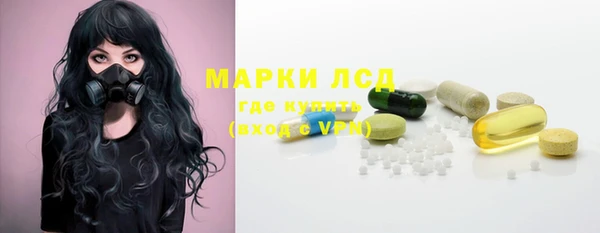 сатива Армянск