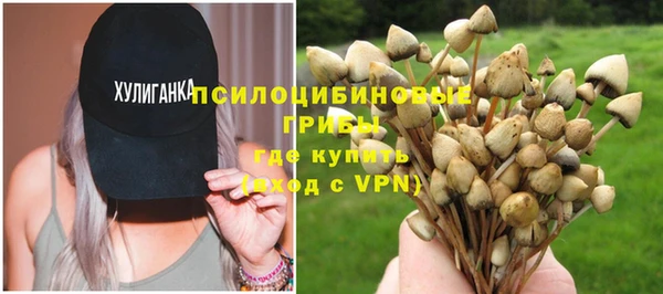 сатива Армянск