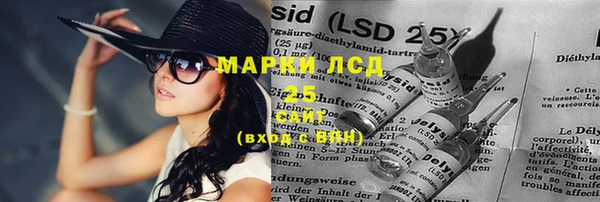 сатива Арсеньев