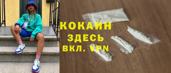 сатива Армянск