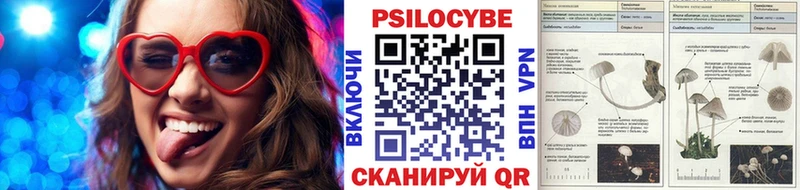 цена   Осташков  Псилоцибиновые грибы прущие грибы 